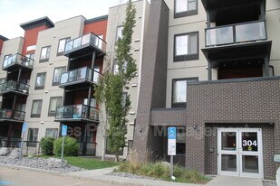 304 Ambleside Link SW in Edmonton, AB - Building Photo