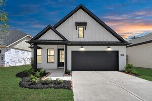 19807 Palomino Pr Trl in Tomball, TX - Building Photo