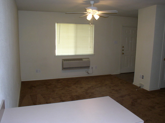 Eagle Place Apartments in Denton, TX - Building Photo - Building Photo