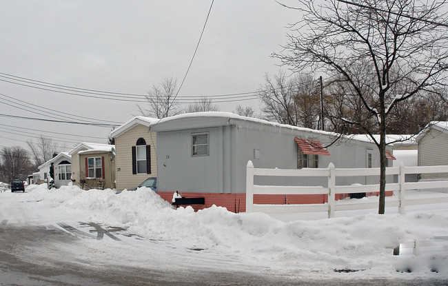 6123 N Dewey Rd in Amherst, OH - Building Photo - Building Photo