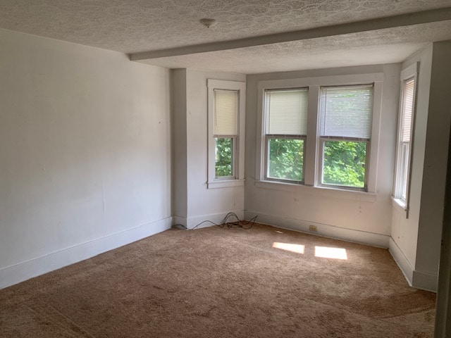 2916 Clemont Ave in Brentwood, PA - Building Photo - Building Photo