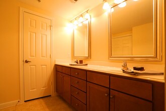Camden Whispering Oaks in Houston, TX - Building Photo - Building Photo