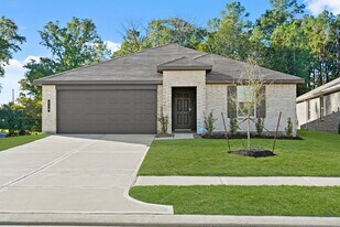 210 Bella Wy in Magnolia, TX - Building Photo