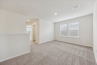 379 Papaya Dr in Buda, TX - Building Photo - Building Photo