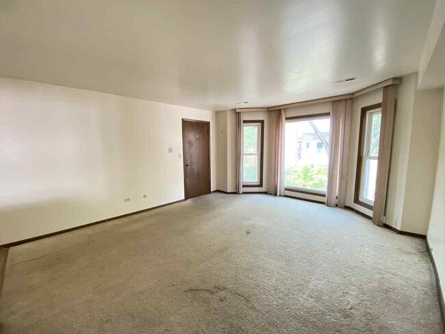 919 S Carpenter St in Chicago, IL - Building Photo - Building Photo