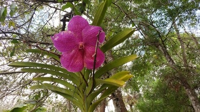 2481 Golden Gate Blvd E, Unit unit#2 in Naples, FL - Building Photo - Building Photo