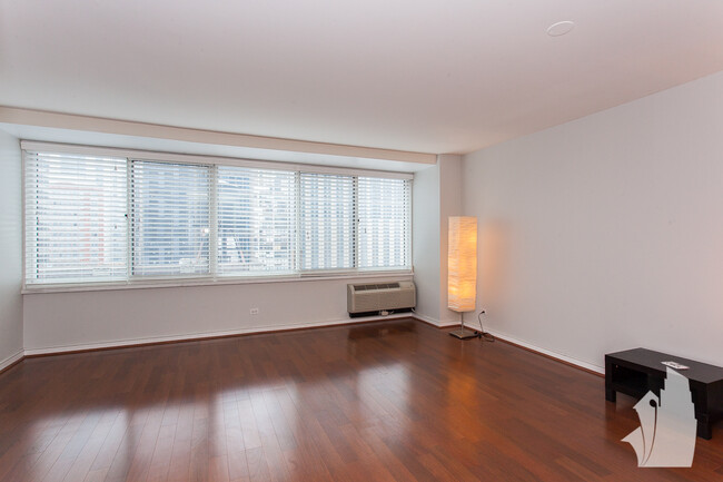 211 E Ohio St, Unit 1225 in Chicago, IL - Building Photo - Building Photo