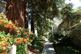 Miramar Plaza Apartments in Sunnyvale, CA - Building Photo - Building Photo