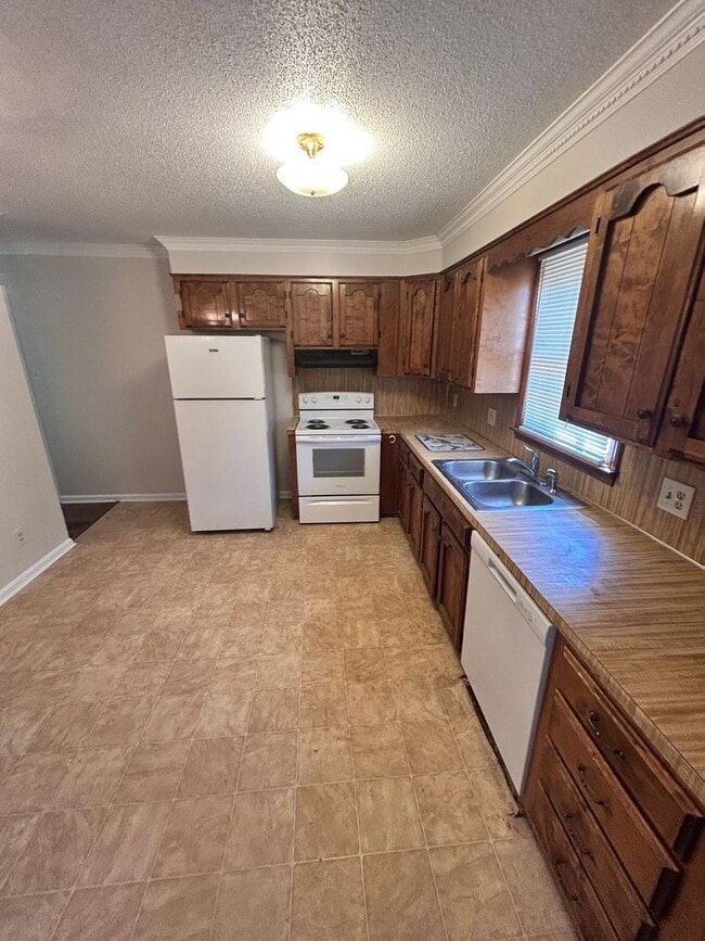 480 Willowspring Ln in Rock Hill, SC - Building Photo - Building Photo