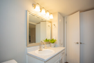 Grand Riviera in Irving, TX - Building Photo - Interior Photo