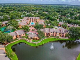 Waterstone at Carrollwood in Tampa, FL - Building Photo