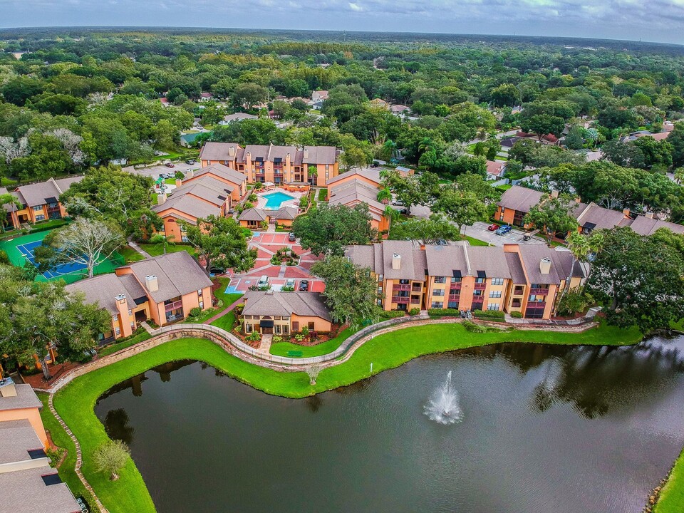 Waterstone at Carrollwood in Tampa, FL - Foto de edificio