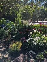 1300 Stonecress Ln in Bainbridge Island, WA - Building Photo - Building Photo