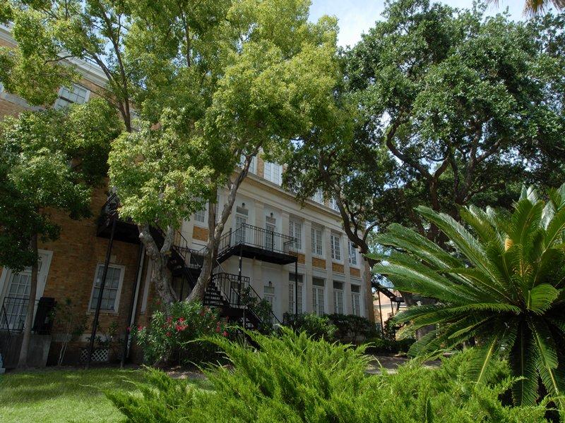 Park at Cedar Lawn Galveston, TX Apartments