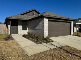 26902 Cherry Plum Ln in Katy, TX - Building Photo