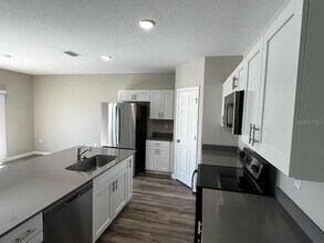 34200 Scarlet Sage Ct in Wesley Chapel, FL - Building Photo - Building Photo