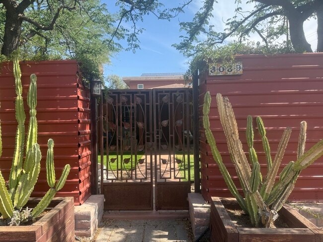 3039 E Hawthorne St in Tucson, AZ - Building Photo - Building Photo