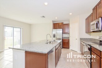 10005 RoseMary Leaf Ln in Riverview, FL - Building Photo - Building Photo