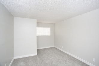 544 Southern Apartments in Mesa, AZ - Foto de edificio - Interior Photo