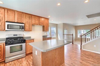 1696 Odyssey Ct in Castle Rock, CO - Building Photo - Building Photo