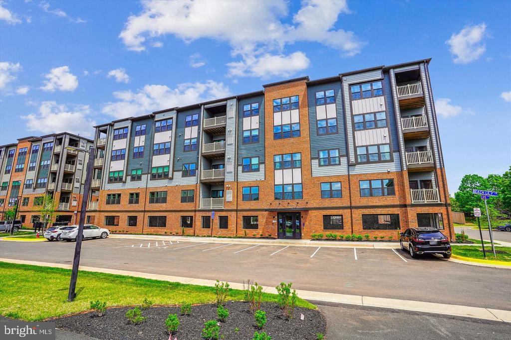 4399 Peach Lily Ln in Chantilly, VA - Building Photo