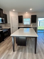 10647 Ironwood Tree Wy in San Antonio, FL - Building Photo