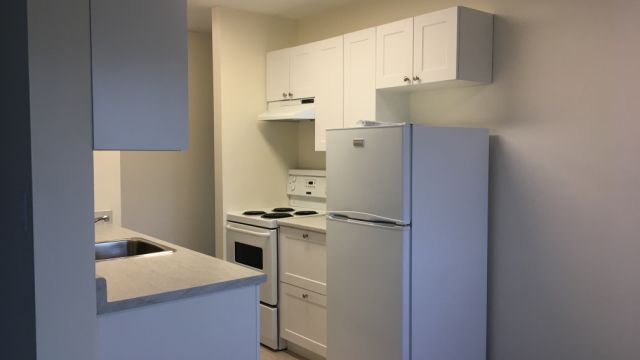 912 Selkirk Ave in Victoria, BC - Building Photo - Building Photo