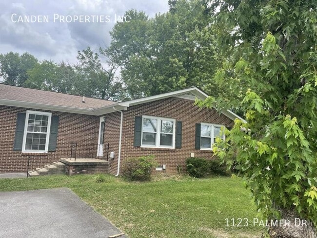 property at 1123 Palmer Dr