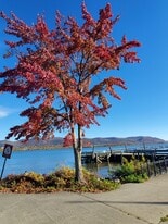 177 W Parmenter St, Unit 3 in Newburgh, NY - Building Photo