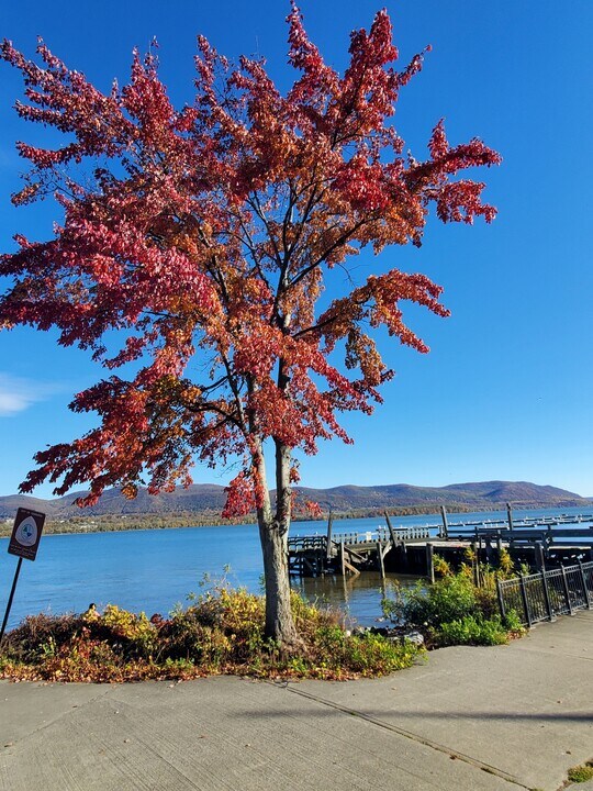 177 W Parmenter St, Unit 3 in Newburgh, NY - Building Photo