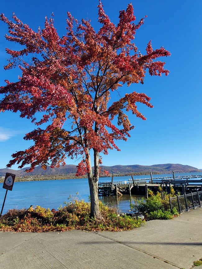 177 W Parmenter St, Unit 3