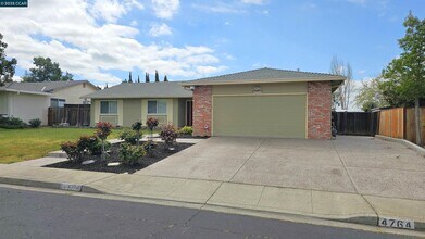 4764 Olive Dr in Concord, CA - Building Photo - Building Photo