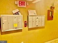 4710 Chestnut St photo'