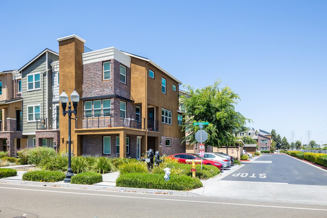 325 - 396 Charles Morris Ter in Sunnyvale, CA - Building Photo