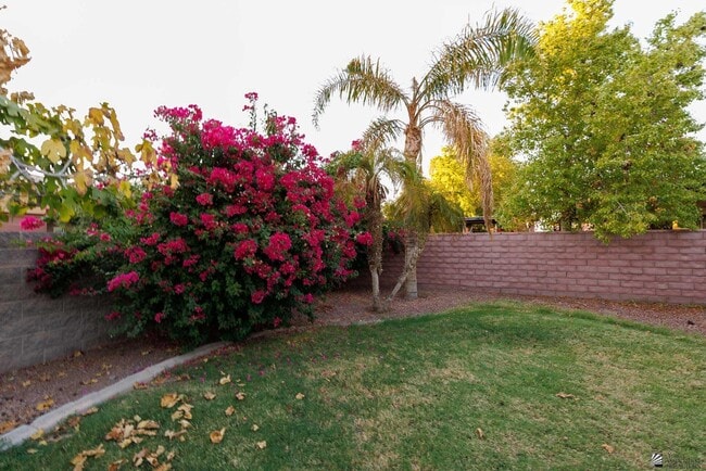 2250 S 23rd Dr in Yuma, AZ - Building Photo - Building Photo