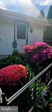 9 Princeton Ave in Ridley Park, PA - Building Photo - Building Photo