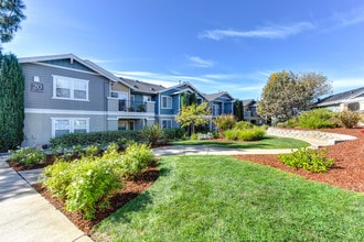 Vineyards at Valley View in El Dorado Hills, CA - Building Photo - Building Photo