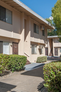 Spartan Oaks Apartments in Sacramento, CA - Foto de edificio - Building Photo