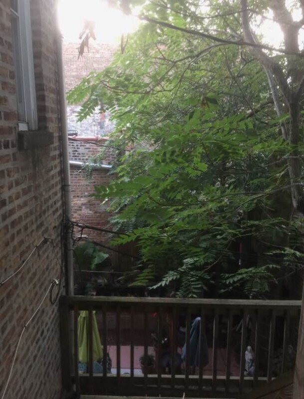 2908 N Wisner Ave in Chicago, IL - Foto de edificio - Building Photo