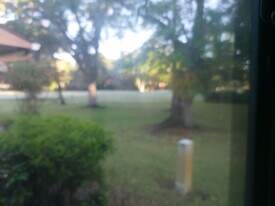 10 Iris Pl in Oldsmar, FL - Building Photo