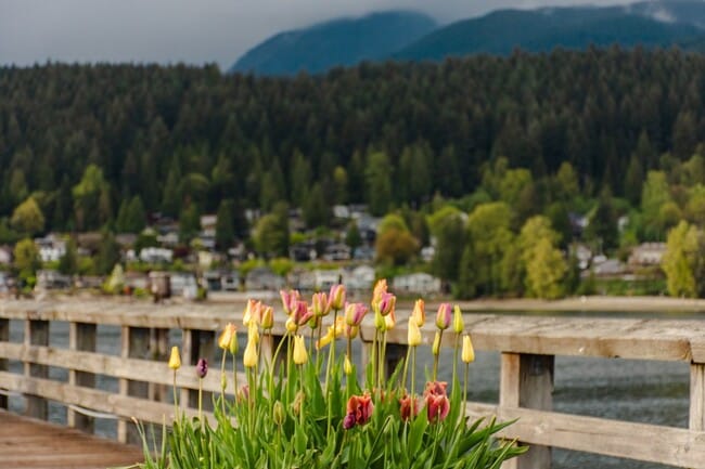 Apartments for rent in Port Moody, BC