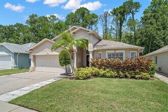 8662 Manassas Rd in Tampa, FL - Building Photo - Building Photo