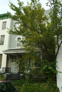 916 W Grace St in Richmond, VA - Foto de edificio - Building Photo