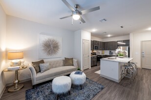 The Luxe at Cedar Hill 55+ Active Adult Apartamentos