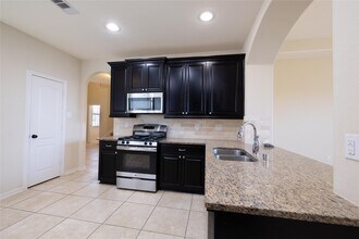 24939 Blue Mountain Park Ln in Katy, TX - Building Photo - Building Photo