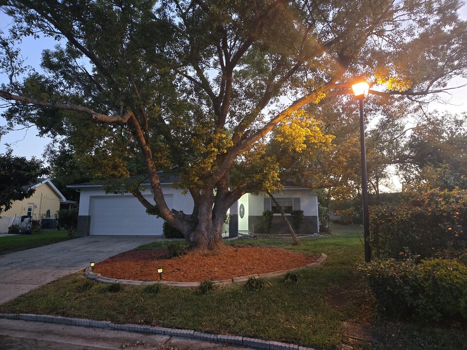 12407 Spanish Moss Dr in Hudson, FL - Foto de edificio