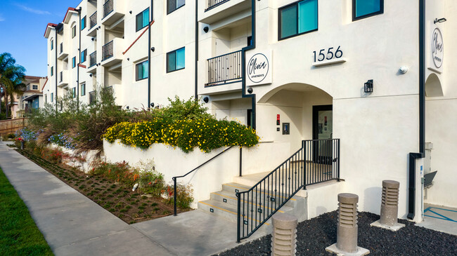 Olivia Apartments