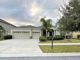 20114 Blue Daze Ave in Tampa, FL - Building Photo