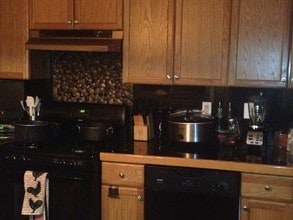 41 Seton Hall Dr in Newark, NJ - Foto de edificio - Building Photo