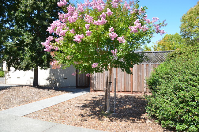 7530 Meadowlark Dr in Sebastopol, CA - Foto de edificio - Building Photo